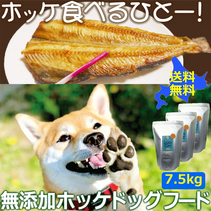 正規品 楽天市場 送料無料 ルルカムイ ホッケ ドッグフード 7 5kg 犬用 ドライフード 魚 北海道産 無添加 無香料 無着色 穀物不使用 国産 日本製 ペットフード 安心安全 アレルギー対策 グルテンフリー ホッケ ほっけ 犬 ご飯 Chocomoco チョコモコ ペット用品 正規品 楽天市場 送料無料 ルルカムイ ホッケ ドッグフード 7 5kg 犬用 ドライフード 魚 北海道産 無添加 無香料 無着色 穀物不使用 国産 日本製 ペットフード 安心安全 アレルギー対策 グルテンフリー ホッケ ほっけ 犬 ご飯 Chocomoco チョコモコ ペット用品