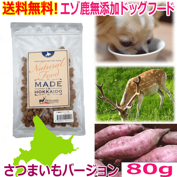 楽天市場】【犬用ベジタブルビスケット 60g 6種類】犬 いぬ