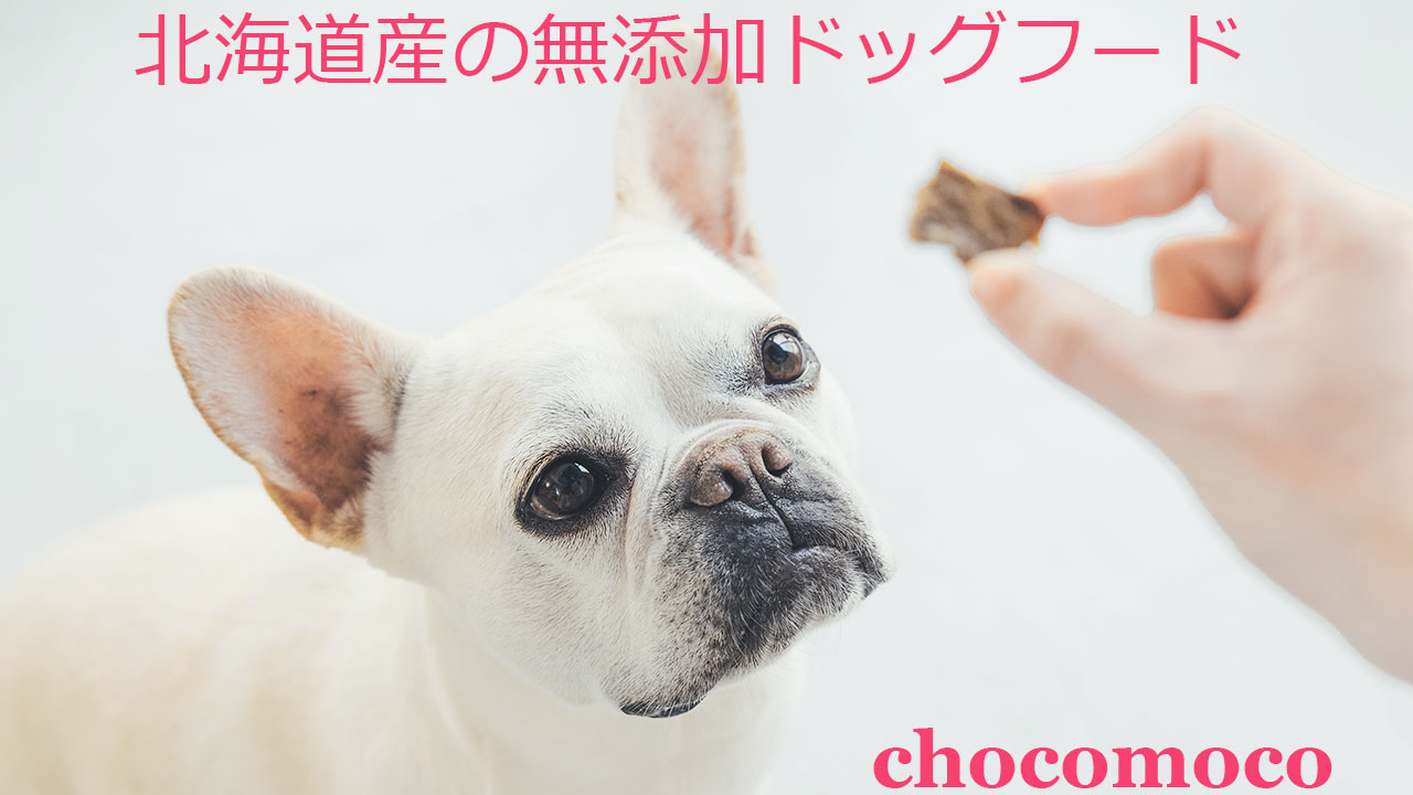 楽天市場】【ホワイトケージM ハート】木製犬用ケージ ゲージ