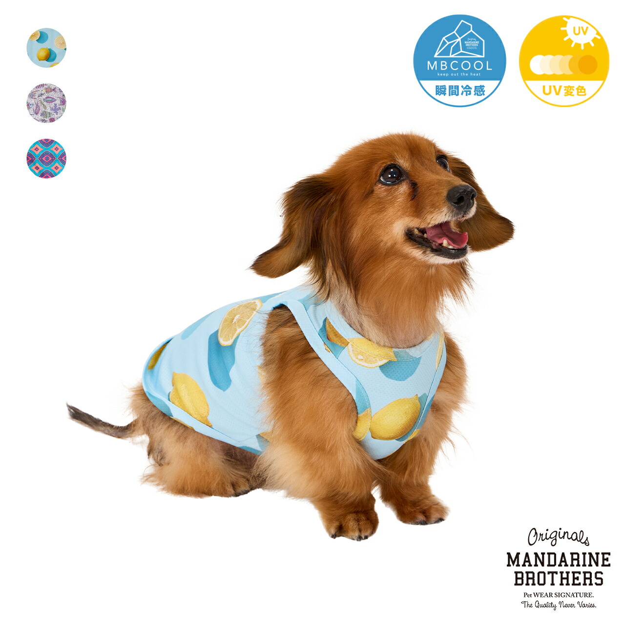 楽天市場】マンダリンブラザーズ 犬服 ベビー パピー 仔犬 デリケート