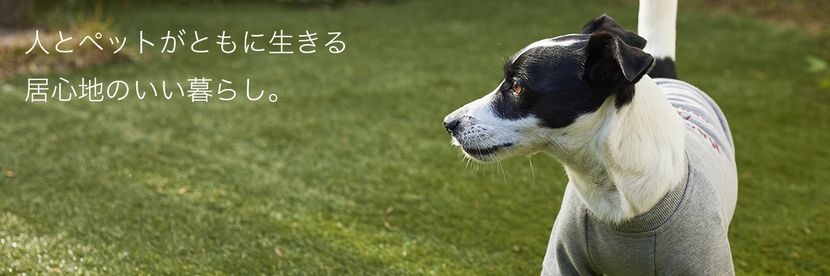 �ޥ�����֥饶��������