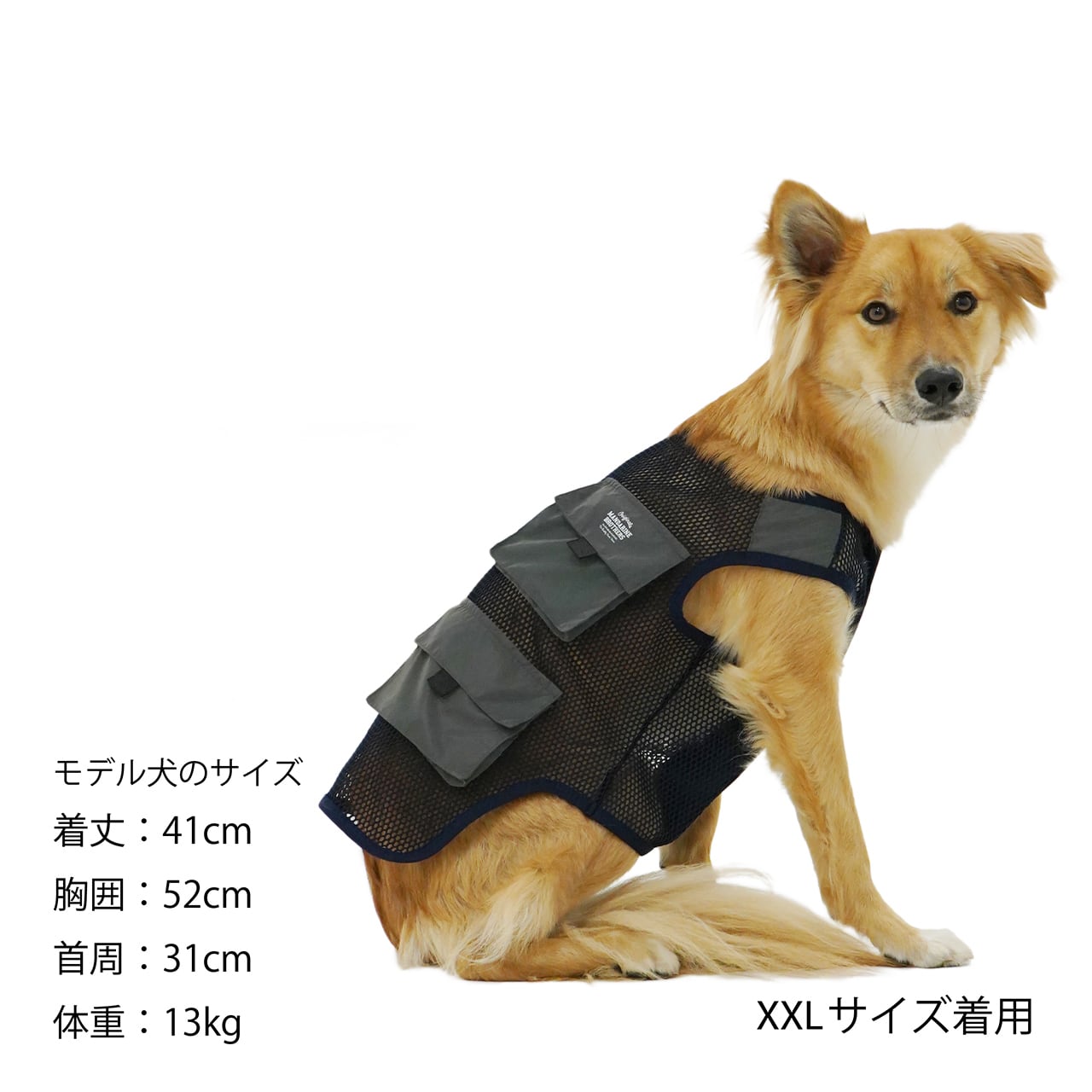 犬の服 犬 服 夏服 アウトドア 夜散歩 キャンプ メッシュ リフレクター ベスト ドッグウェア 犬の服 犬 服 夏服 アウトドア 夜散歩 キャンプ メッシュ リフレクター ベスト ドッグウェア