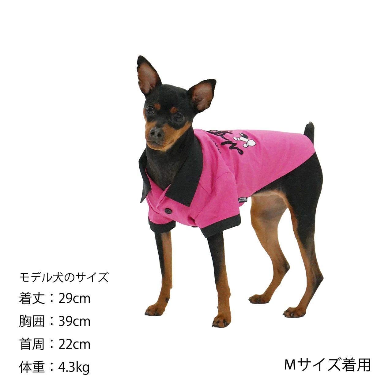 犬の服犬ボウリングシャツドッグウェア服春夏チワワ、ダックス、トイプードルMANDARINEBROTHERS/BOWLINGSHIRTS(XS,S,M,MD)
