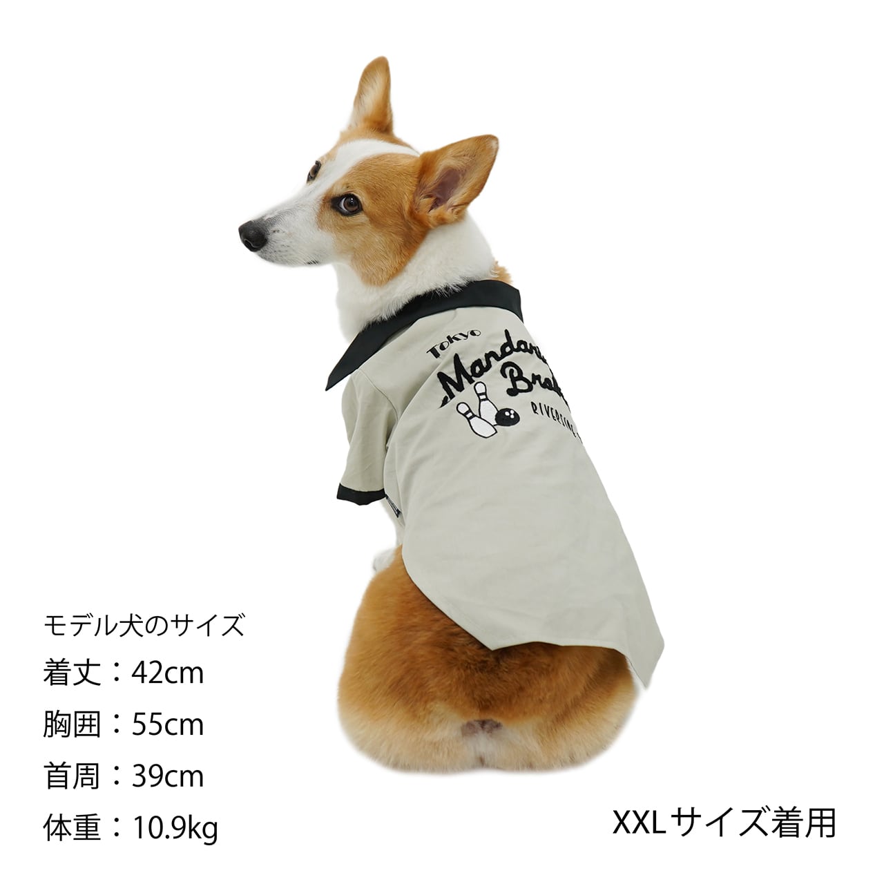 犬の服犬ボウリングシャツドッグウェア服春夏チワワ、ダックス、トイプードルMANDARINEBROTHERS/BOWLINGSHIRTS(XS,S,M,MD)