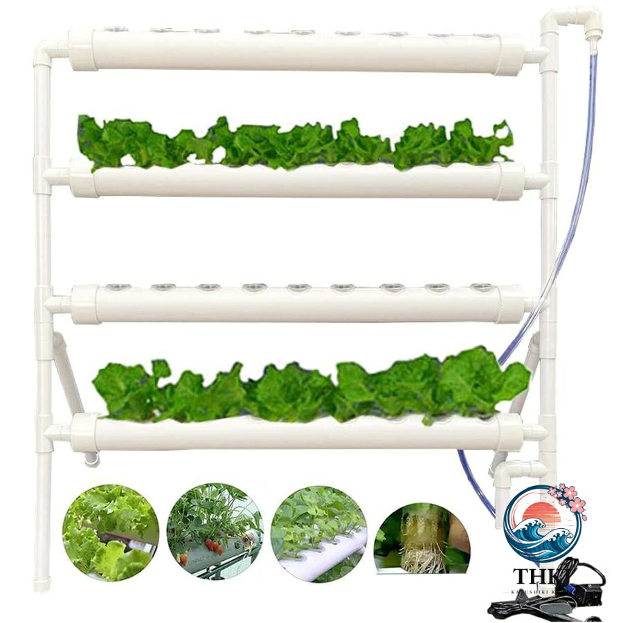 水耕作りだす一揃いの道具 すいこう作りだす一揃いの道具 いちご 蔬菜 作りだす一揃いの道具 室内 身寄り家庭菜園 水耕作りだす書き割り プランター 36 穴