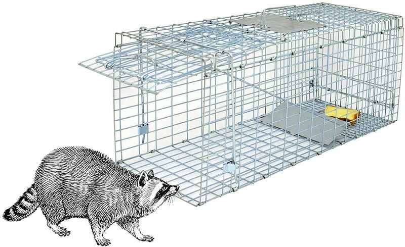 動物用捕獲器 アニマルトラップ 踏み板式 野良猫 迷子猫 小動物 保護 害獣駆除 農業作物保護 簡単組立 設置