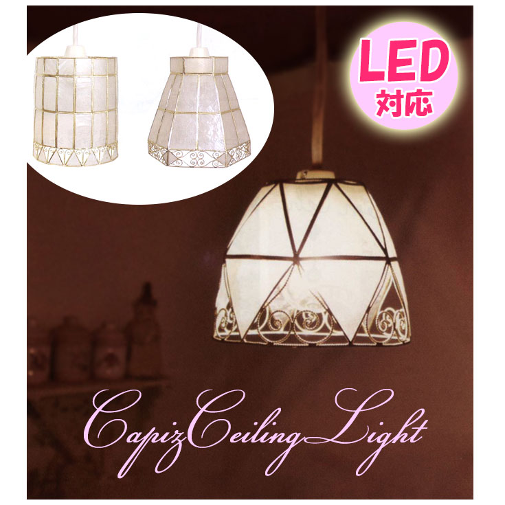 楽天市場】CAPIZ SPOT - スクエア オレンジ ホワイト シェル 貝 天然