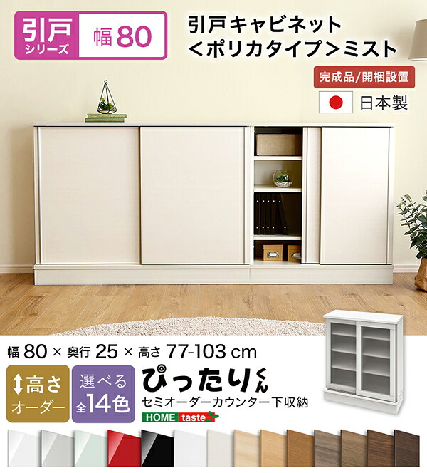 【貨物輸送無料!!】【引戸つづき物】セミオーダーカウンター下納める接近してくん 収納家具(ポリカタイプ 靄) 幅80cm×奥ふかさ25糎 その他-家電