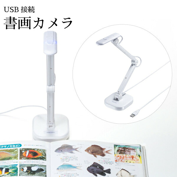 【送料無料】USB書画カメラ CMS-V46W サンワサプライ 800万画素 高解像度 ホワイト USB接続 コンパクト 夏休み 自由研究 生き物観察 オートフォーカス A3サイズ対応 LEDライト搭載 実物投影 授業 セミナー 教室 デジタル顕微鏡