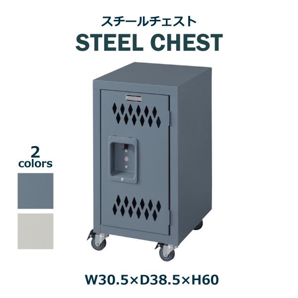 スチールチェスト TPN-40GY TPN-40IV グレー アイボリー 灰 コンパクト 収納 ロッカー 店舗 事務所 おしゃれ シンプル 東谷 あずまや チェスト キャスター付き 12,909円