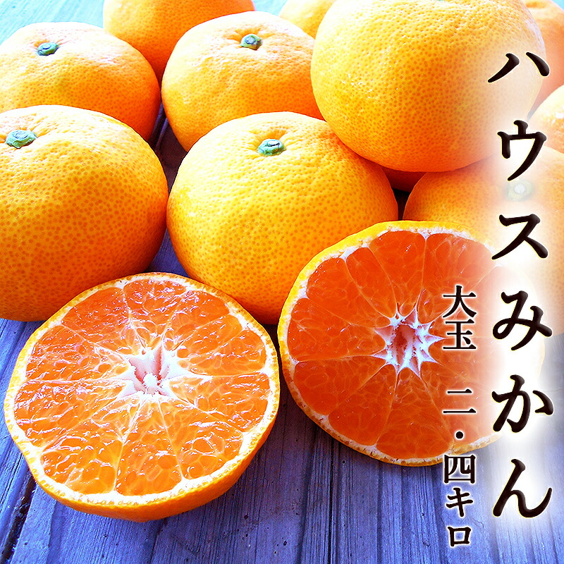 楽天市場】長崎産 まるなん ハウスみかん Lサイズ 20個入り 化粧