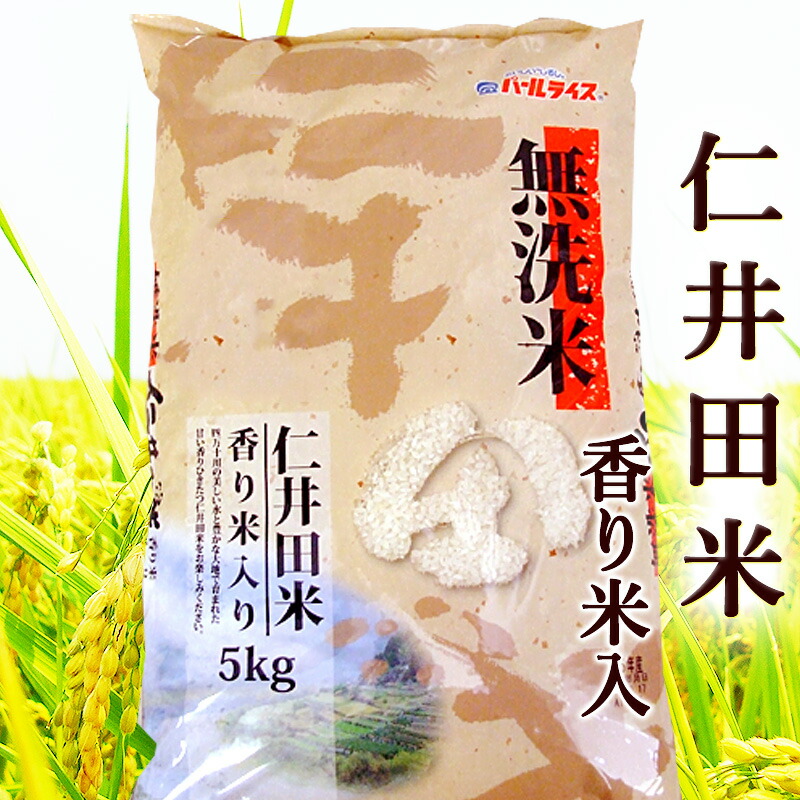 楽天市場】新米 よさ恋美人 高知県産 令和7年産 約5kg 高育76号
