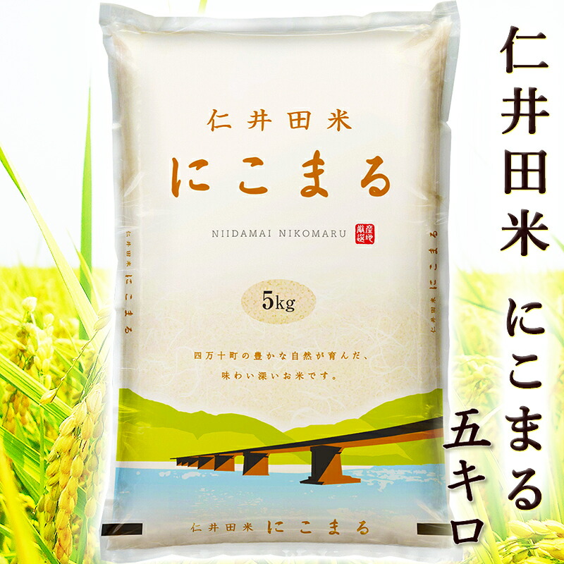 楽天市場】令和7年 仁井田米 5kg にこまる にいだまい 高知産 令和7