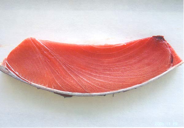 本まぐろ 本鮪 クロマグロ 中トロ 約５００ｇ 高級品 畜養 ギフト【Cool delivery】