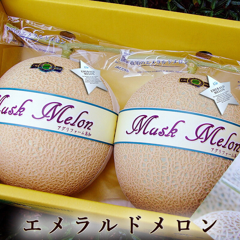 エメラルドメロン 高級マスクメロン 隔離栽培 約1.3kg×２玉セット 化粧箱入 高知産 送料無料 ギフト プレゼント 産地直送 最高級 内祝い 出産祝い 結婚祝い お祝い お返し ご自宅用