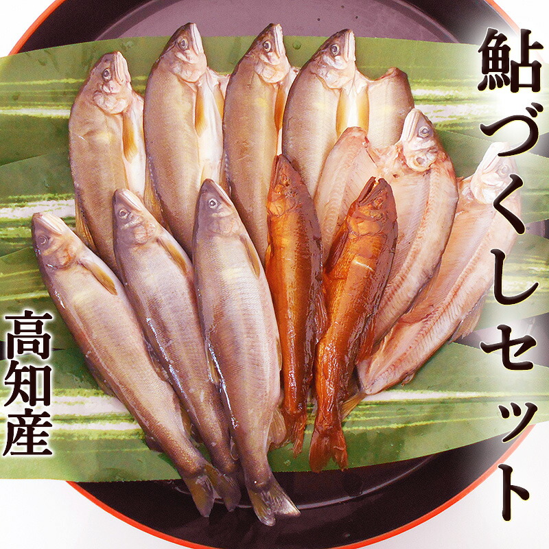 高知インター店】 鮎づくしセット 高知産 送料無料 アユ あゆ 養殖 香魚 四万十鮎一夜干し6尾 子持ち鮎3尾 焼鮎甘露煮2尾 国産 干物 子持ちあゆ  焼鮎 四万十煮 甘露煮 塩焼き たまご ギフト プレゼント お中元 お歳暮 【楽ギフ_包装】-css.edu.om