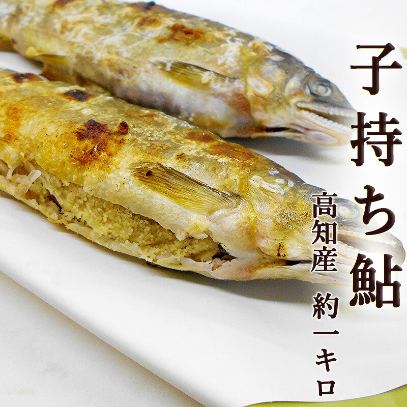 子持ち鮎 約1kg 高知産 8～10尾前後 送料無料 国産 養殖 子持ちあゆ 香魚 塩焼き 甘露煮 たまごがぎっしり 鮎 アユ ギフト プレゼント お中元 お歳暮