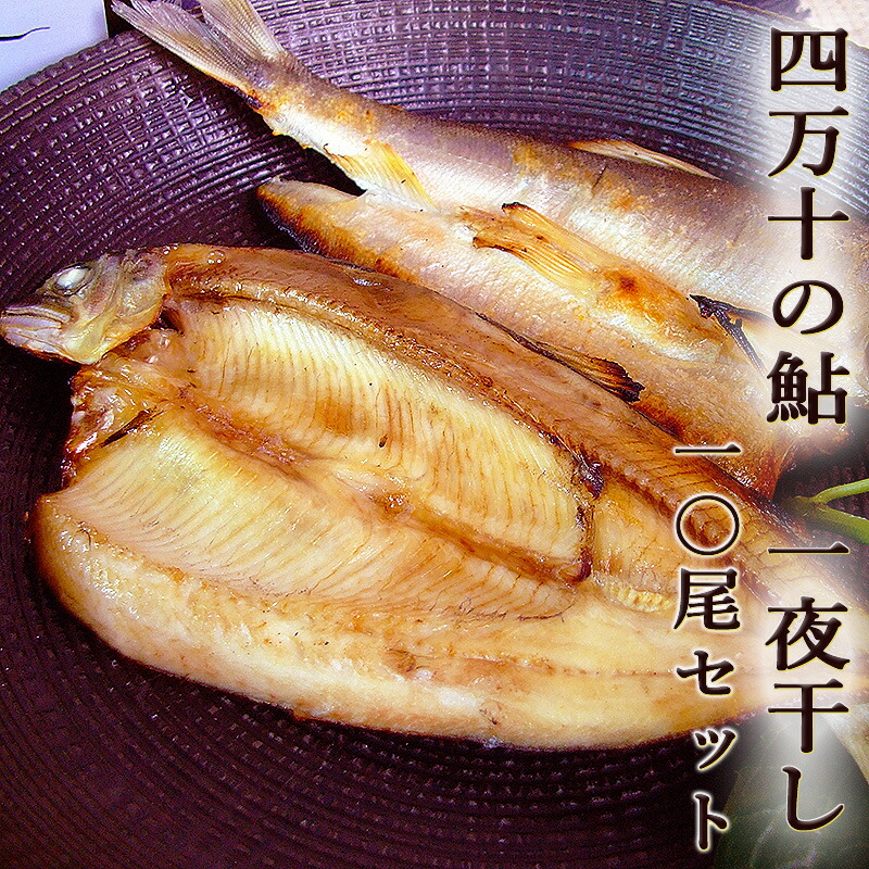 四万十の鮎 あゆ 一夜干し 10尾 四万十町産 低塩仕上げ 無添加 鮎の一夜干し アユ  養殖 四万十川 唐揚げ 天ぷら ギフト プレゼント お中元 お歳暮