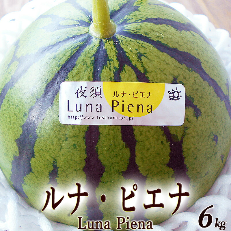 父の日カード 包装付 ルナ・ピエナ 約6kg 送料無料 高級すいか 糖度検査済 高知県夜須町産 南国土佐の高級すいか  ギフト プレゼント 西瓜 スイカ 国産 産地直送 お中元 内祝い 出産祝い 結婚祝い お祝い
