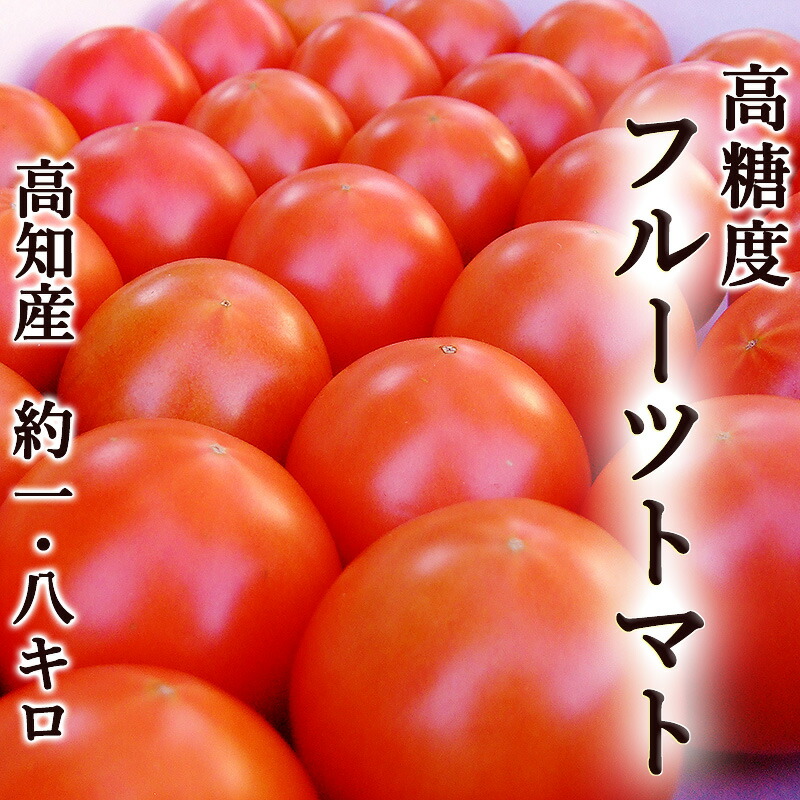 高糖度フルーツトマト 約１ ８キロ 高知県夜須町産 ご家庭用 送料無料 高糖度 糖度8度以上 中玉トマト Rakuten 高級 ゼリー 甘い Delivery Cool 国産 産地直送 プレゼント ジュース ギフト