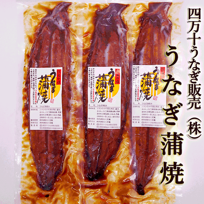 【四万十うなぎ（株）】うなぎ蒲焼 約１５０ｇ&times;３尾 特大３尾セット 高知産 送料無料 うなぎ ウナギ 鰻 蒲焼き 国産 土用丑の日 敬老の日 ギフト プレゼント 内祝い お返し 誕生日 お歳暮 お中元【Cool delivery】