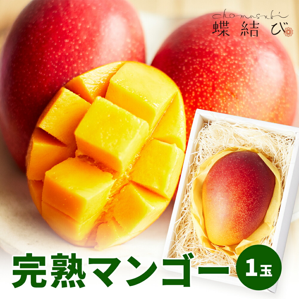 【5月23日20時よりポイント5倍】　完熟マンゴー 1玉 マンゴー 宮崎 沖縄 県産 フルーツ 果物 トロピカルフルーツ 南国 大きい 甘い ギフト フルーツギフト 贈り物 プレゼント 贈答 高級 お祝い 内祝 快気祝い 母の日 お返し 熨斗ラッピング メッセージカード 蝶結び