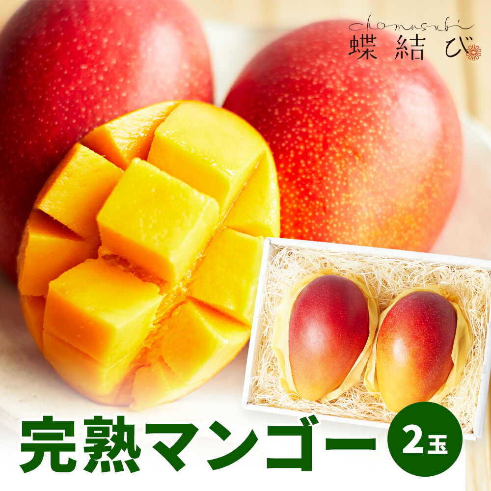 【5月23日20時よりポイント5倍】 完熟マンゴー 2玉 マンゴー 宮崎 沖縄 県産 フルーツ 果物 トロピカルフルーツ 南国 甘い ギフト フルーツギフト 贈り物 プレゼント 贈答 お祝い 内祝 快気祝い 新生活 母の日 お返し 熨斗 ラッピング メッセージカード  蝶結び