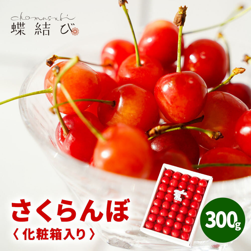 【5月23日20時よりポイント5倍】 さくらんぼ 300g 贈答用 佐藤錦 紅秀峰 指定日配送不可 サクランボ 山形県 青森県 果物 フルーツ ギフト フルーツギフト プレゼント 母の日 贈り物 お祝い 誕生日 内祝 熨斗 ラッピング メッセージカード付 高級 お取り寄せ グルメ 蝶結び