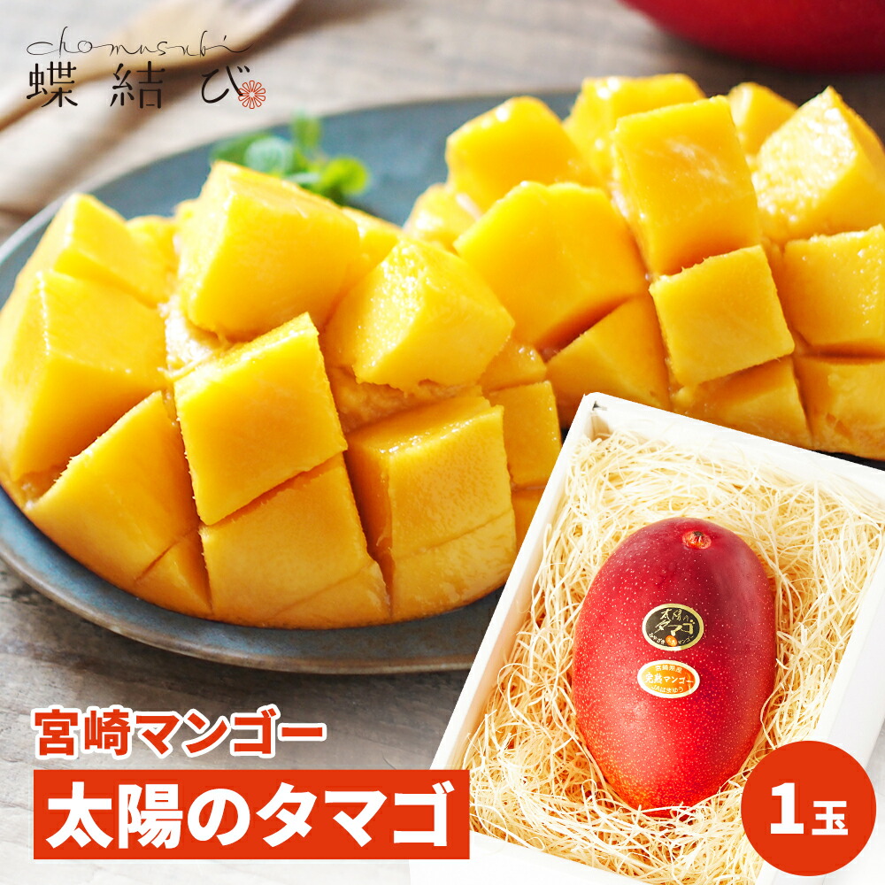 【5月23日20時よりポイント5倍】 完熟マンゴー 太陽のタマゴ 1玉 宮崎県 産 マンゴー アーウィン ブランド 果物 フルーツ 南国 トロピカルフルーツ ギフト フルーツギフト 贈り物 お誕生日 お祝い 母の日 プレゼント 内祝 熨斗 ラッピング メッセージカード付 高級 蝶結び