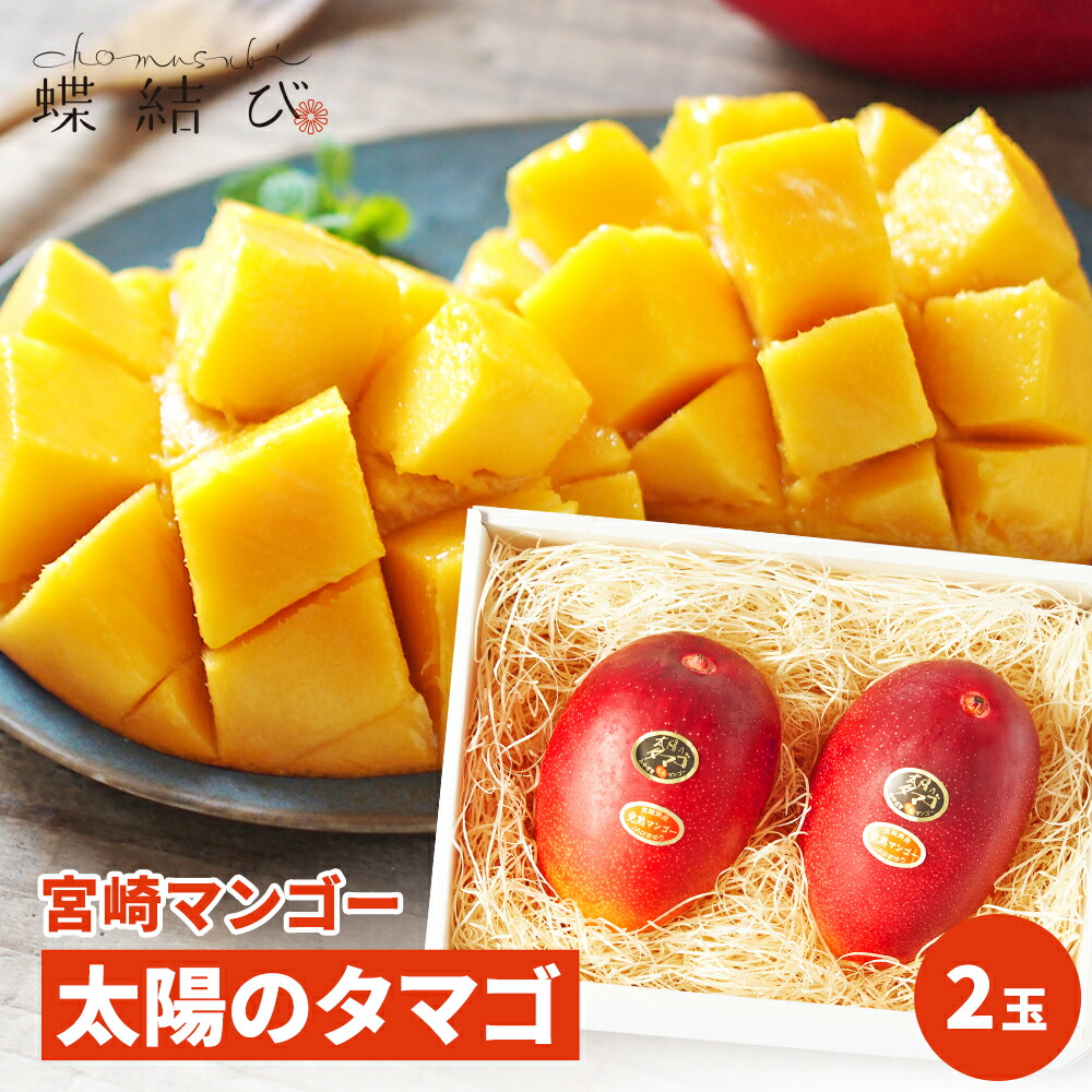【5月23日20時よりポイント5倍】 完熟マンゴー 太陽のタマゴ 2玉 宮崎県 産 マンゴー アーウィン ブランド 果物 フルーツ 南国 トロピカルフルーツ ギフト フルーツギフト 贈り物 お誕生日 お祝い 母の日 プレゼント 内祝 熨斗 ラッピング メッセージカード付 高級 蝶結び