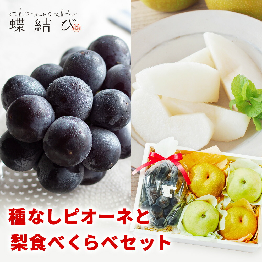 楽天市場】フルーツ ギフト 藤稔 ふじみのり 2房入り (1房 500g