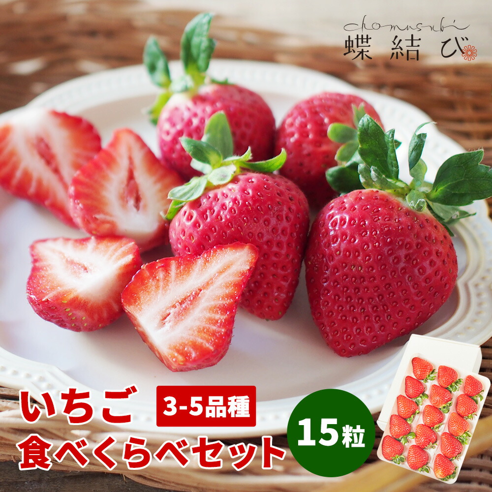 【11月末以降お届け】　いちご 食べくらべセット 約15粒 イチゴ 苺 食べ比べ 甘い あまおう いちごさん など3～5種 ブランドいちご 果物 フルーツ フルーツギフト プレゼント 御歳暮 お歳暮 お年賀 景品 熨斗 高級 蝶結び
