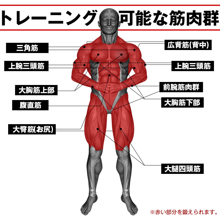 楽天市場 送料無料 高さ調節152 222cm可能 懸垂バー ぶら下がり健康器 耐荷重100kg 6段階高さ調整ok 懸垂マシーン 筋トレ チンニング ぶら下がり健康器具 高さ調節 物干しフック付き エクササイズ 自宅 腕力 ストレッチ 壁 Cho Majime