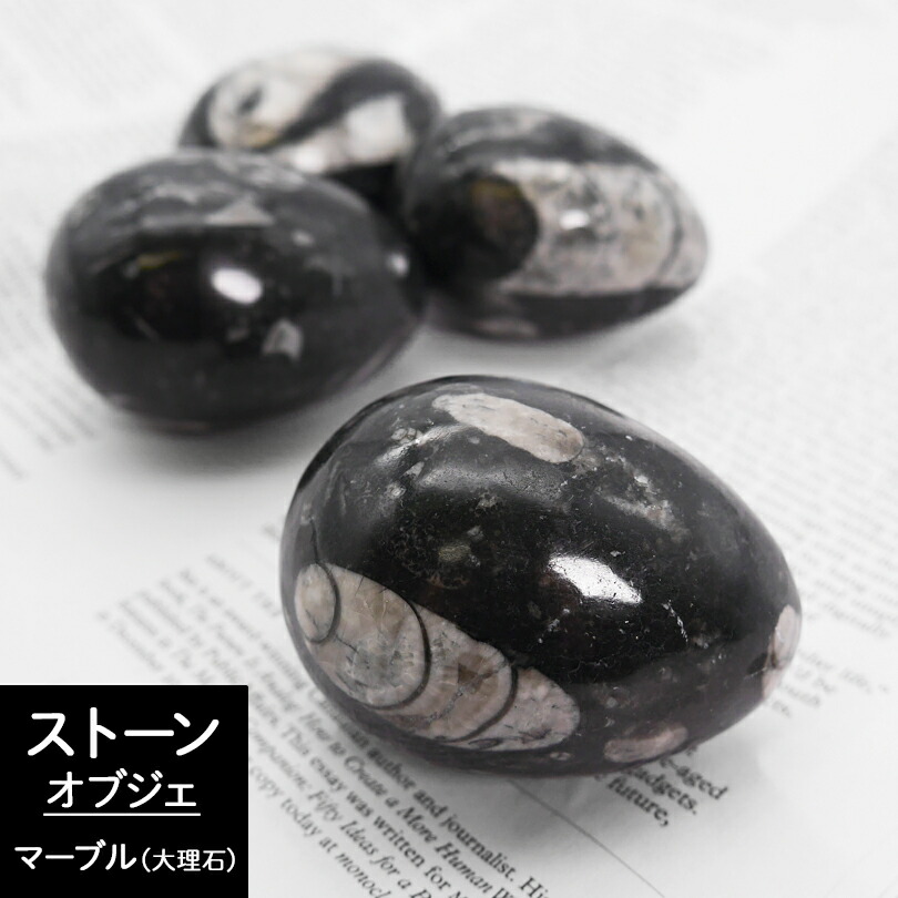 化石の文鎮 71FhXjI+pRL._UF894,1000_QL80_.jpg