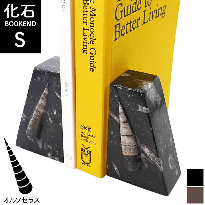 Sサイズ オルソセラス【化石ブックエンド】大理石 ブックスタンド 化石 FOSSIL フォッシル オルソセラス 北アフリカ サハラ砂漠 天然大理石 本立て 卓上 本棚 本立て 木製 卓上 伸縮 ブックエンド  書斎 雑貨