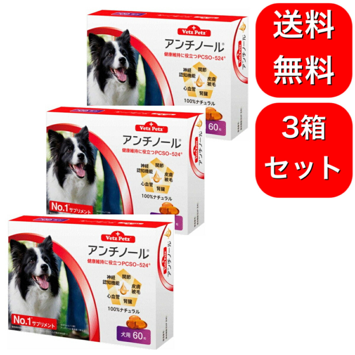 アンチノール 犬用 60粒 サプリメント 人気ブランド多数対象