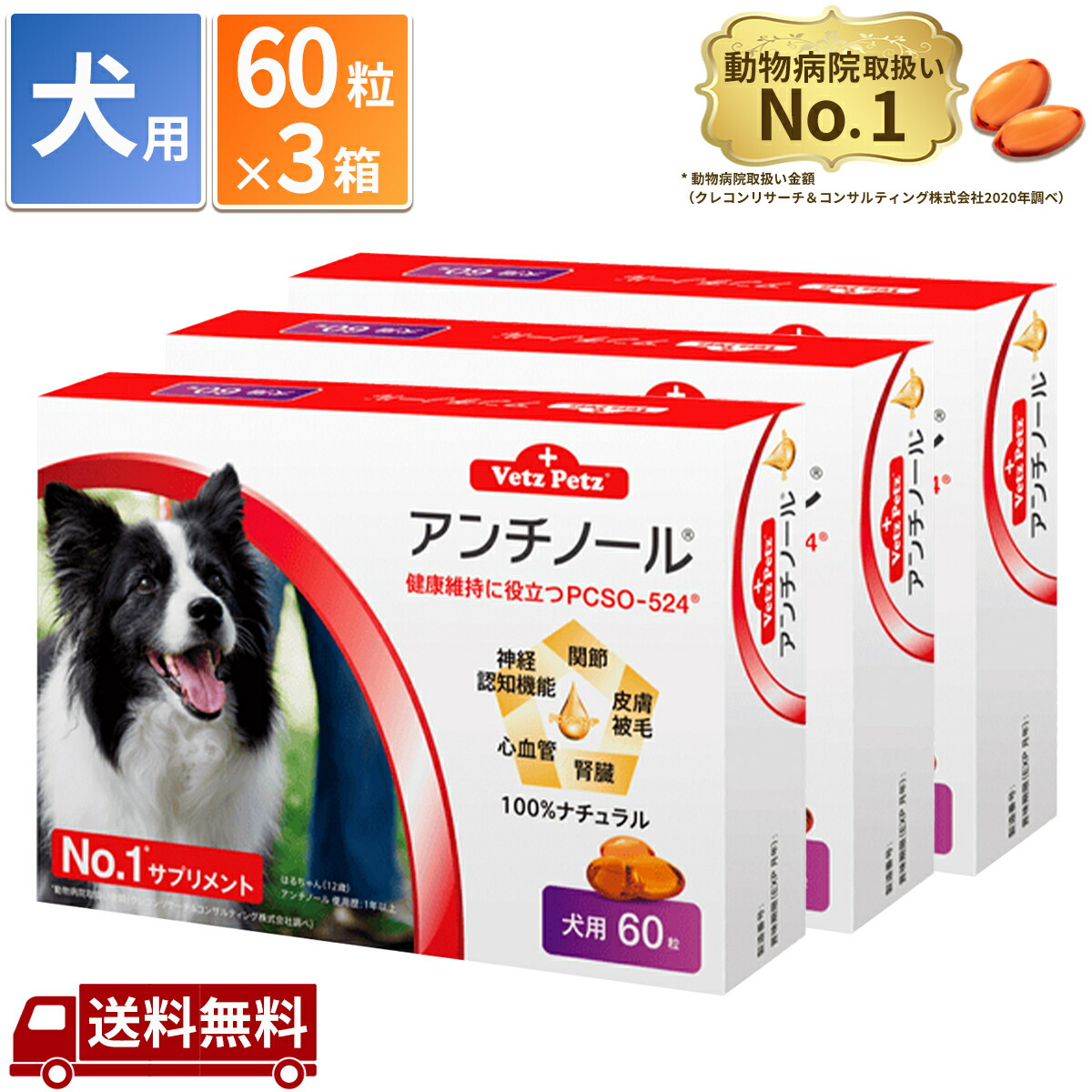 【楽天市場】アンチノール 犬用 60粒 サプリメント : Chronus