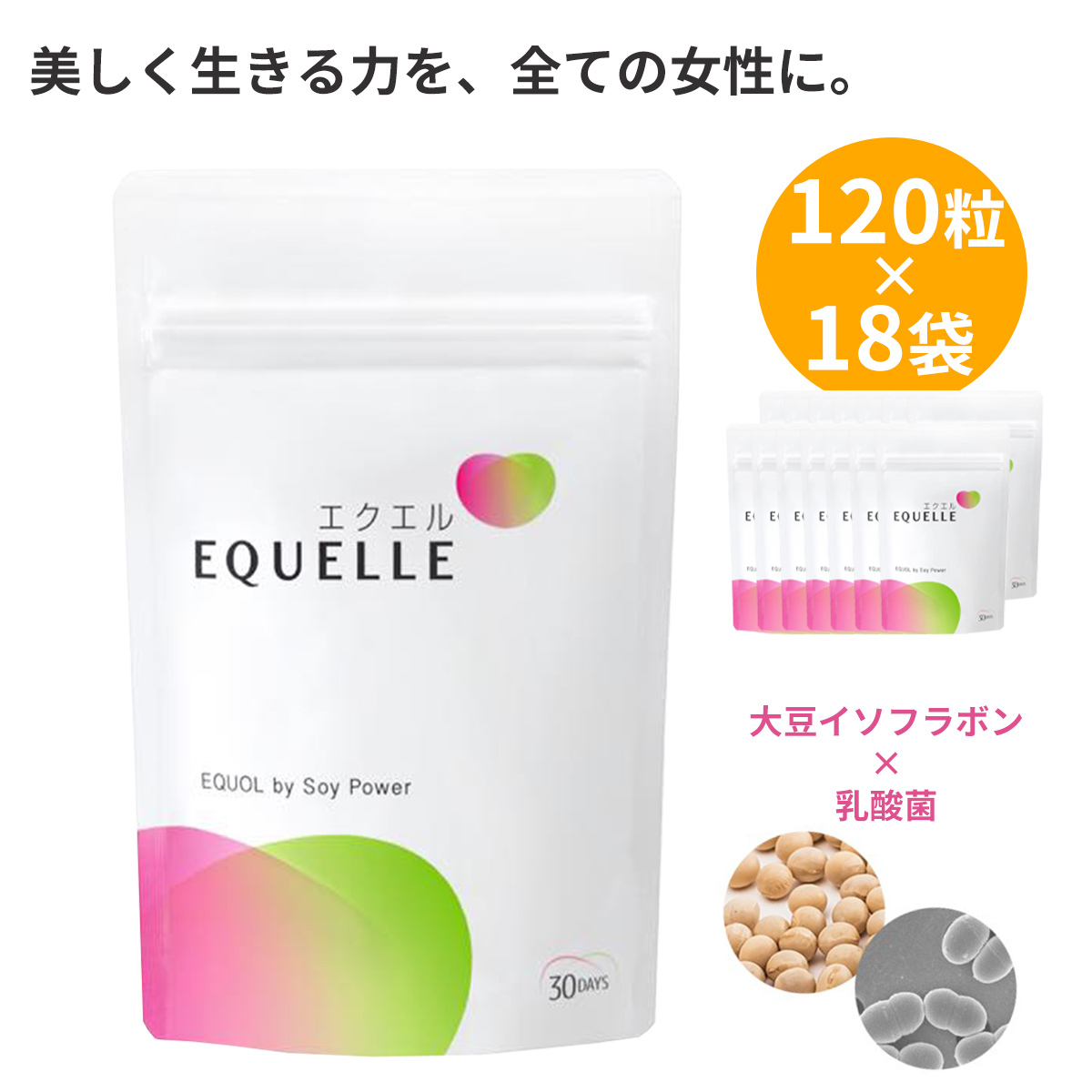 恵みの時 エクエル パウチタイプ 120粒 4個セット 大塚製薬 全国一律