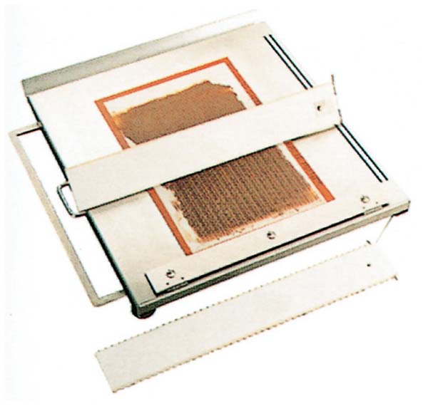 楽天市場】【終売】デバイヤー ペーニュ ゴム製ボワゼット 大 40510