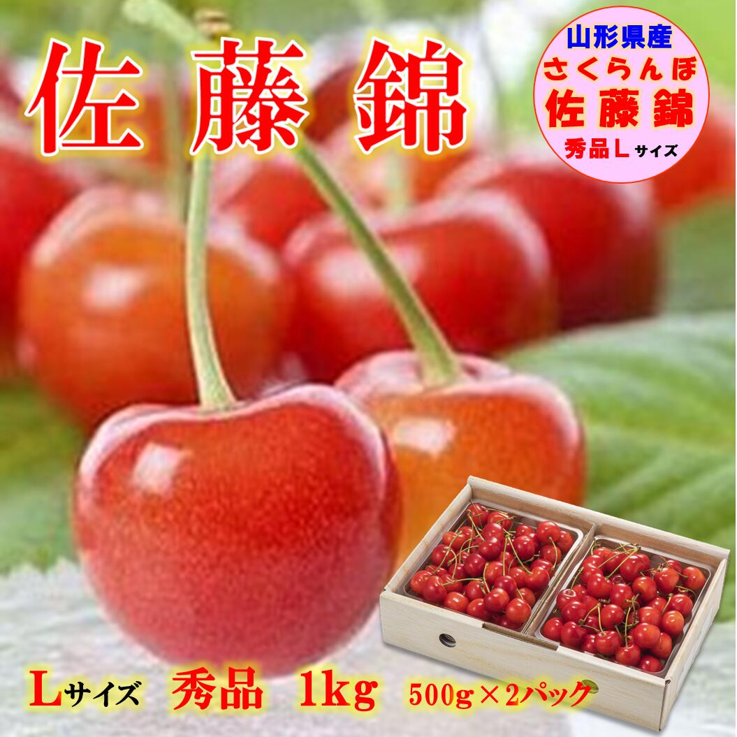 やまがたのさくらんぼ 佐藤錦 秀品 1ｋｇ（500ｇ×2パック） 【6月中旬～発送】 さくらんぼ  贈答用 山形県産 食べる宝石 ルビー色の果実 【路地物】 Ｌサイズ バラ詰め 山形のさくらんぼ フルーツ ギフト 贈り物 産地直送 送料無料