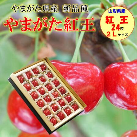 やまがた紅王 山形県産 化粧箱入り 秀品 24粒 （特選／手詰め） 【6月下旬～発送】 山形のさくらんぼ 贈答用 食べる宝石 ルビー色の果実 2Ｌサイズ 秀品 手詰め さくらんぼ フルーツ ギフト 贈り物 くだもの 産地直送 送料無料
