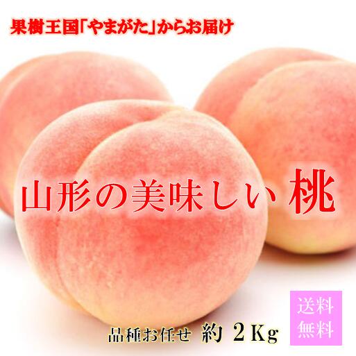 【楽天市場】やまがたの桃! 山形県産 品種お任せ 約2kg 玉数6~9玉 訳あり ご家庭用 【8月上旬~発送】 桃 白桃 あかつき 川中島白桃 ...