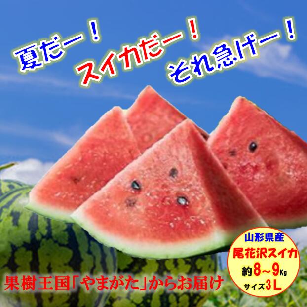 山形県産 『尾花沢スイカ』 3Lサイズ 8～9ｋｇ 2玉入り 【早期予約／8月上旬発送】スイカ生産量日本一 甘くてジューシー ご家庭用 訳あり 果物 フルーツ 送料無料 山形県産