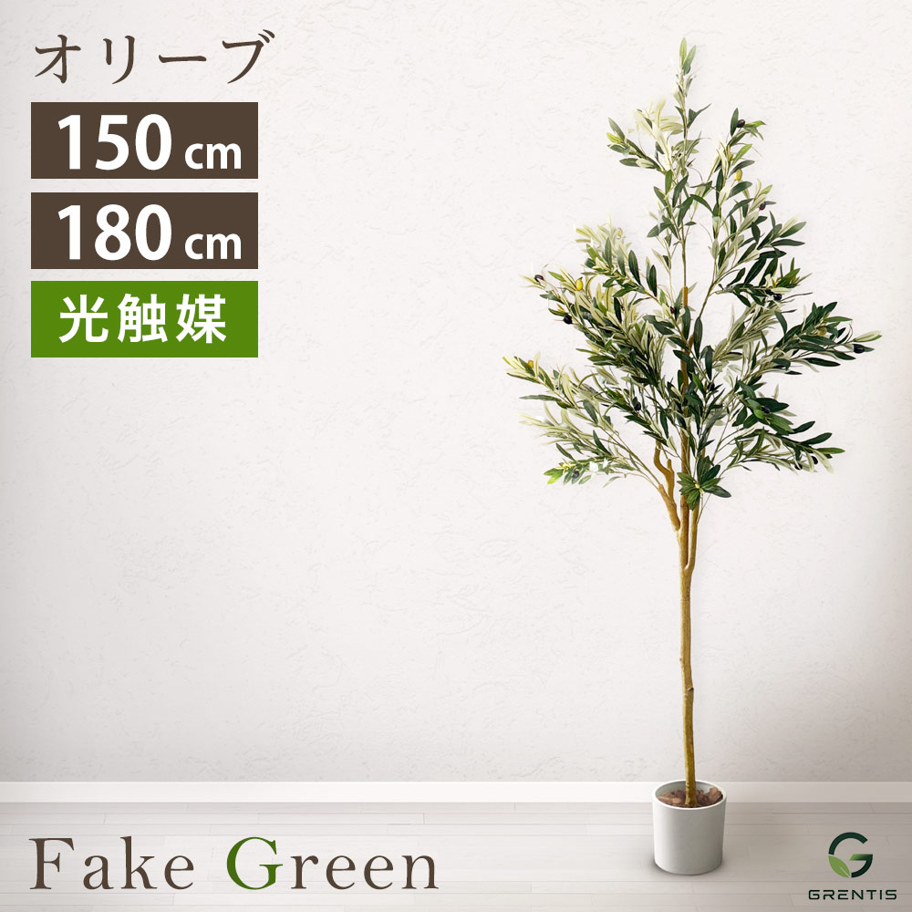 フェイクグリーン AG-OLI オリーブ 高さ150糎/180糎 GRENTIS(グレンティス)【光触媒】【人工観葉草木】【如何様物】【鉢付】【大型】【造花】【鉢植え】【即物的】【今めかしい】【室内装飾】【儀式用】【営造祝賀会】【開店祝賀会】【執務室】