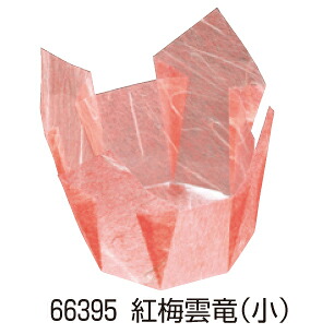 両面OP繊細さ入 (小) 200枚入 66395 紅梅雲竜