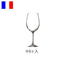 カベルネ　チューリップ　75　(6ヶ入) Ｃ＆Ｓ　Ｄ0795