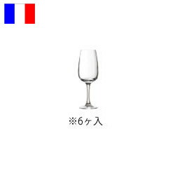 カベルネ　チューリップ　12　(6ヶ入) Ｃ＆Ｓ　14798