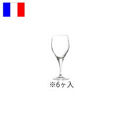 センセーション　エグザルト　25　(6ヶ入) Ｃ＆Ｓ　Ｅ7697 7,448円