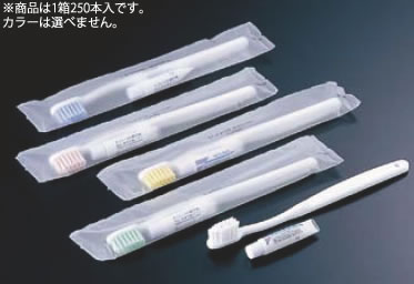 ﾊﾌﾞﾗｼ 5gV-25 (1箱250本入)【ホテル用品】【業務用】