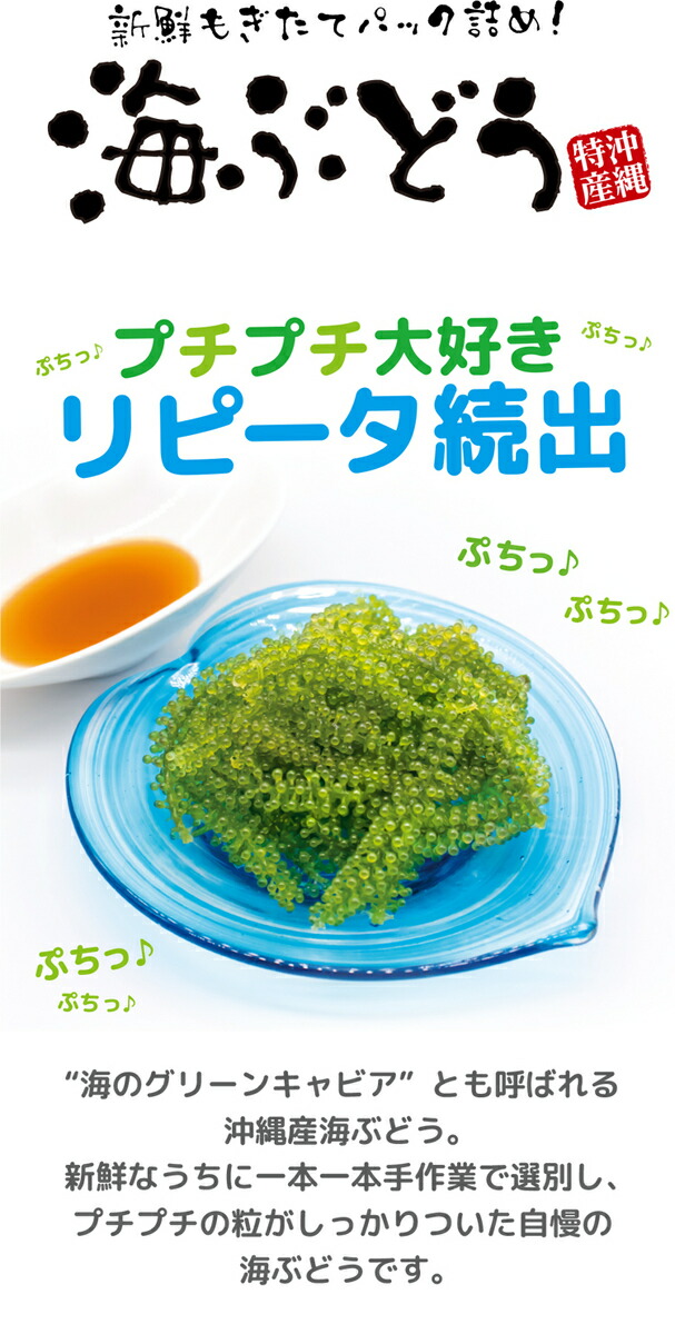 海ぶどう 3個 40g A品質 お試しセット コロナ 沖縄県産 特選 家のみ グルメ タレ付き セット